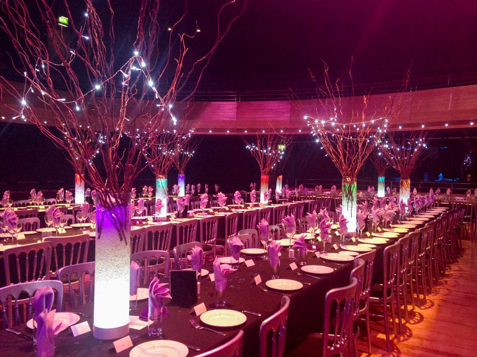The Pentland Theatre set for a banquet with 3 long tables visible and large table decorations of branches decked with fairy lights.