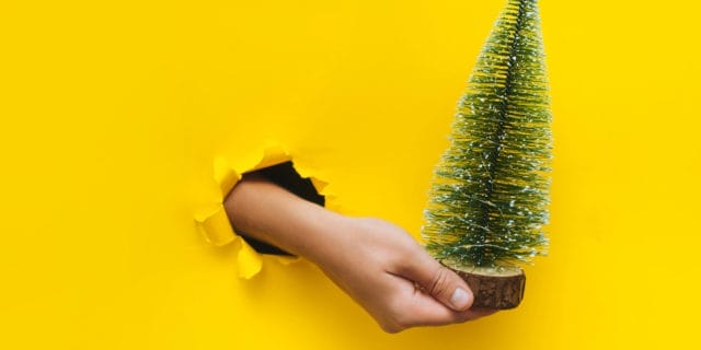 A hand holding a small fir tree bursts through a bright yellow paper background.