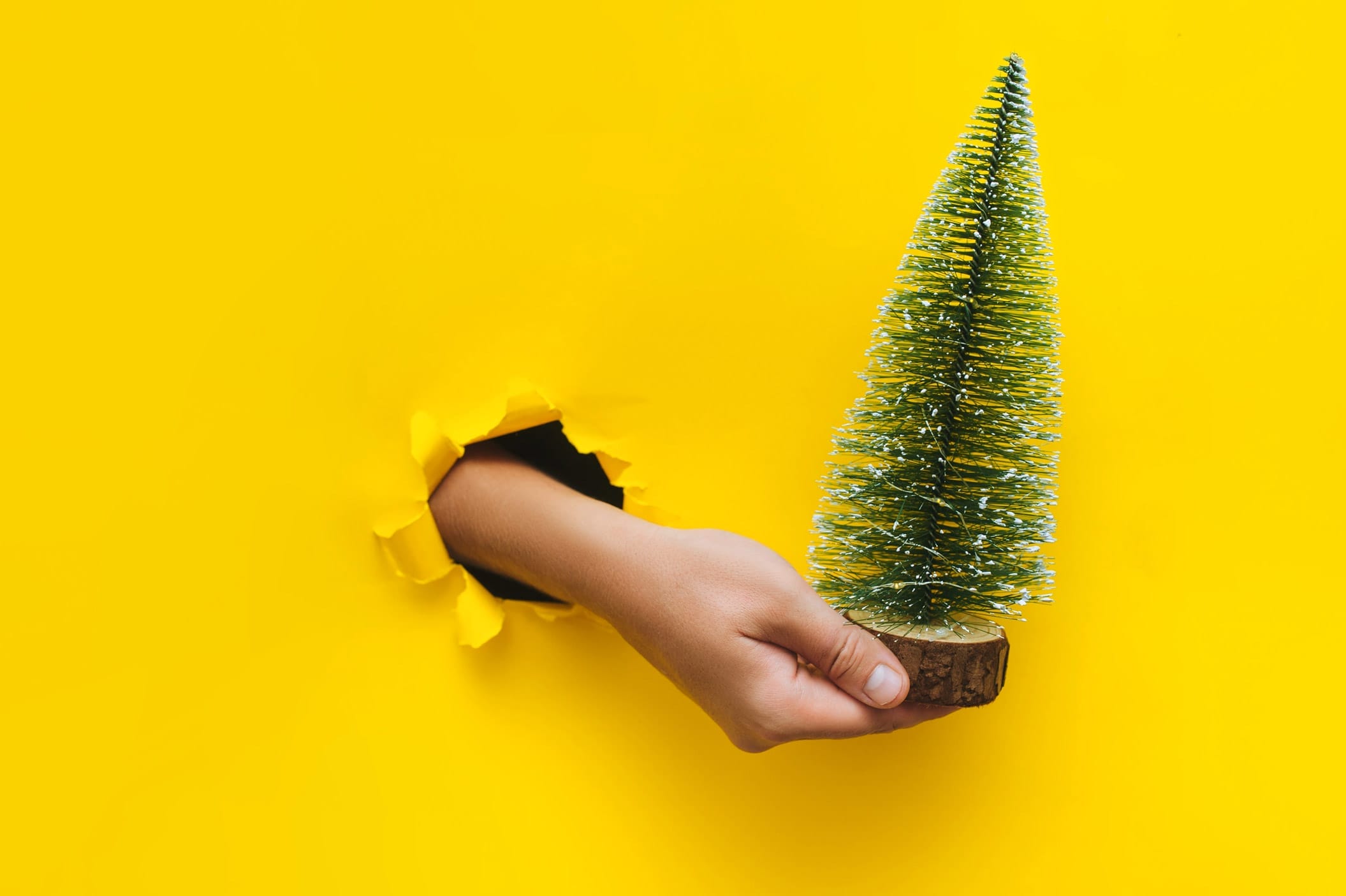 A hand holding a small fir tree bursts through a bright yellow paper background.