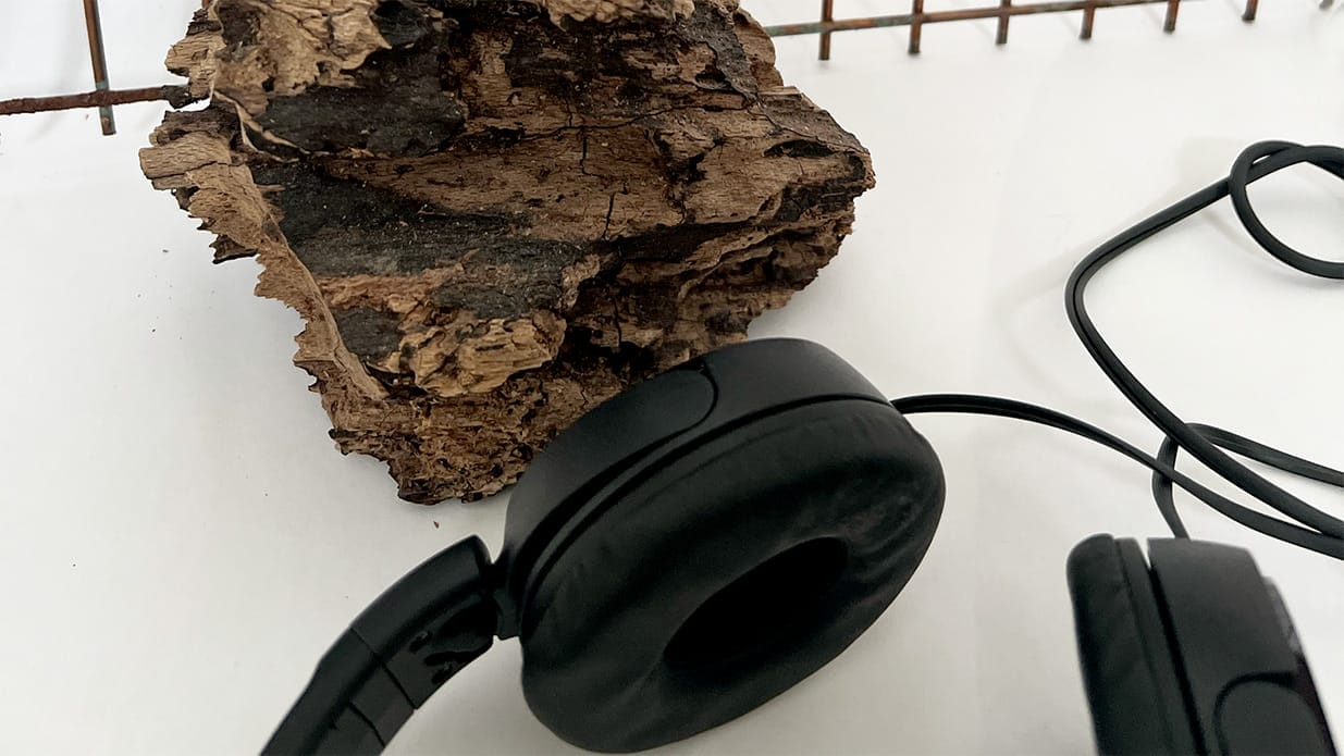 An image of a gnarled piece of wood with some headphones next to it. Both are sitting on a shiny white surface.